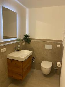a bathroom with a sink and a toilet and a mirror at Stübchen Nr 37 in Inzigkofen +10 photos