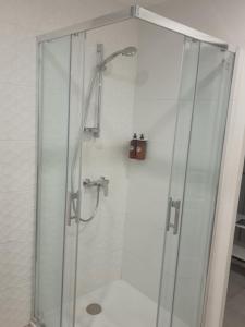 a shower with a glass door in a bathroom at La Parenthèse Lémantine - Studio 3 in Neuvecelle +18 photos