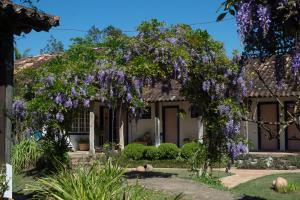 a wisteria tree in front of a house at Pousada da Bia in Tiradentes