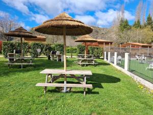a picnic table with an umbrella in the grass at Refuge - Les Chalets du lac Belcaire in La Celle-sous-Gouzon