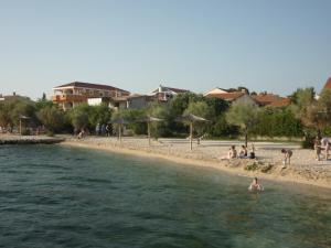 a group of people in the water at a beach at Jelena i Agi apartman Bibinje in Bibinje