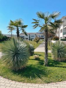 two palm trees in a park with a sidewalk at Angel's Home in Dunajská Streda