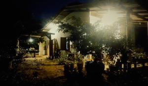 a house with a tree in front of it at night at GARDEN House in Ban Phru Ching (1) +12 photos