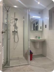 a bathroom with a shower and a sink at Bushy Hill Drive in Guildford in Guildford +41 photos