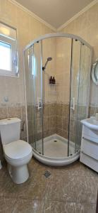 a bathroom with a shower with a toilet and a sink at Kamelija LUX in Đenovići +34 photos