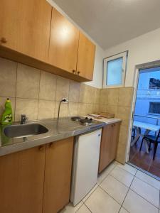 a kitchen with a sink and a dishwasher at Apartmani Vista Čanj in Čanj