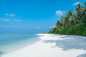 a white beach with palm trees and the ocean at Ayvana Retreat in Feridhoo