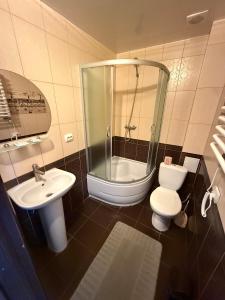 a bathroom with a toilet and a sink and a shower at Troyanda in Radyvyliv +40 photos