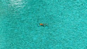 a person in the middle of the water at Ayvana Retreat in Feridhoo +59 photos