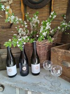 two bottles of wine sitting next to two wine glasses at Ubytování U Trati in Moravská Nová Ves