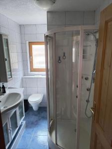 a bathroom with a shower and a toilet and a sink at Ferienwohnung Naturglück in Sellrain