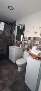 a bathroom with a toilet and a sink at La casita in Pontevedra +6 photos