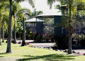 a building with a bunch of palm trees in a park at Daintree Wild Bed & Breakfast in Daintree