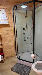 a glass shower in a bathroom with a toilet at Domki u Wiesi in Giżycko +15 photos
