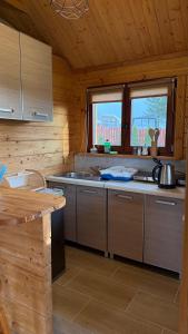 a kitchen with a stove and a sink in a cabin at Domki u Wiesi in Giżycko