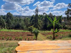 a bench in a field with trees in the background at Karen Little Paradise, ECO Garden Hotel & Farm in Nairobi