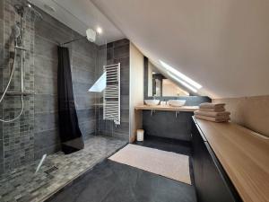 a bathroom with a shower and a sink at Le Garage & Spa Gold in Gondreville