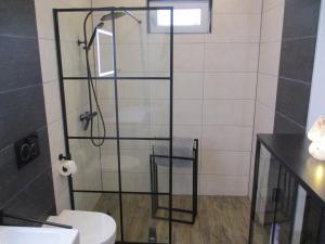 a bathroom with a shower with a toilet at Parsberger Ferienhaus 23 a in Parsberg