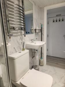 a white bathroom with a toilet and a sink at Oxford Private Flat One in Oxford +68 photos
