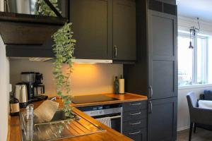 a kitchen with black cabinets and a counter with a plant at Stølstunets sentrumsglimt in Beitostøl +3 photos