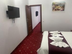 ein Hotelzimmer mit einem Bett und einem Fernseher an der Wand in der Unterkunft Hotel Ostrov in Călimăneşti