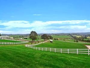 a white fence in a field with green grass at Oak Hill Cottage - Chirnside Park in Wonga Park