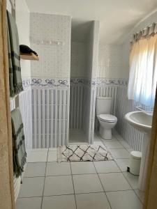 a bathroom with a shower and a toilet and a sink at Le Patio d'Arles in Arles +38 photos
