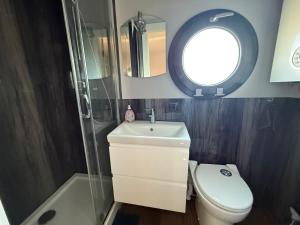 a bathroom with a toilet and a sink and a mirror at Hausboot Luft & Liebe in Halle an der Saale