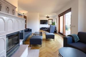 a living room with blue chairs and a fireplace at Haus Altburgstädtel in Dresden