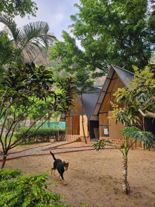 a black dog walking in front of a building at Sukoon in Nainital