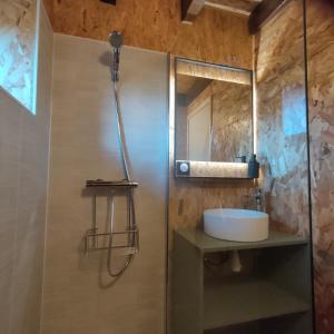 a bathroom with a shower with a sink and a mirror at B&B suite de charme in Guipry-Messac