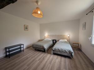 a bedroom with two beds and a pendant light at Graine in Dommartin-le-Franc