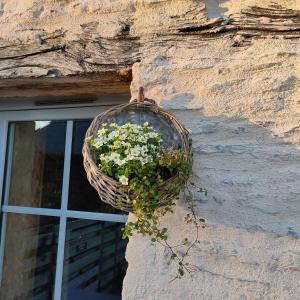a basket of flowers hanging on the side of a building at B&B suite de charme in Guipry-Messac +9 photos