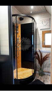 a shower in a room with a mirror at la marmotte in Granges-Aumontzey +19 photos