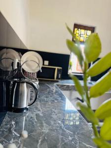 a kitchen counter with a coffee pot and a plant at Rilu Surf Stay Arugambay in Arugam Bay