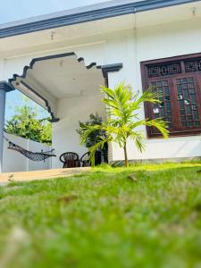 a house with a palm tree in front of it at Rilu Surf Stay Arugambay in Arugam Bay