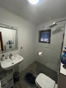 a bathroom with a sink and a shower and a toilet at Plavi apartman Airport in Belgrade +21 photos
