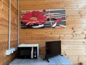 a television and a painting of a flower on a wall at Le scalette di Giocondo in Roio Piano