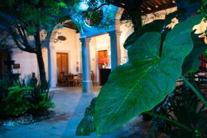 a large green leaf in front of a building at Tlaquepaque Pueblito in Guadalajara