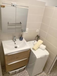 a bathroom with a sink and a toilet at Appartement en Corrèze in Le Lonzac +8 photos
