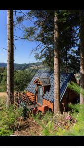 a cabin in the woods with trees at L écureuil in Granges-Aumontzey