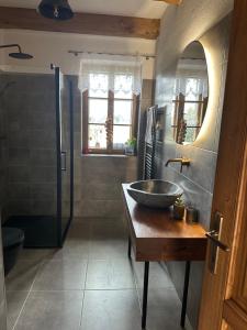 a bathroom with a sink and a shower at Chalupa Vlachovice in Vlachovice