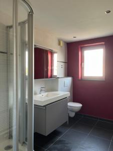 a bathroom with a sink and a toilet at Hébergement proche de Atomium Expo Serres Royales in Grimbergen