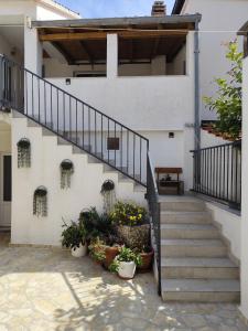 a staircase leading up to a house with potted plants at Apartments Milevčić in Jelsa