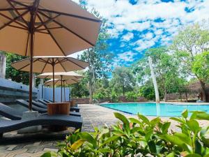 a swimming pool with chairs and umbrellas next to a pool at La Cloudz Sigiriya in Sigiriya