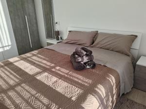 a teddy bear sitting on top of a bed at SunshineSuite in Alassio