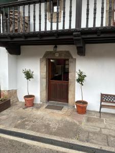 a building with two potted plants in front of a door at rincón de covadonga in Caño