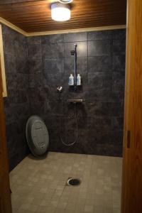 a bathroom with a shower with a toilet in it at Poropelto Cottage in Ruhtinaansalmi +14 photos