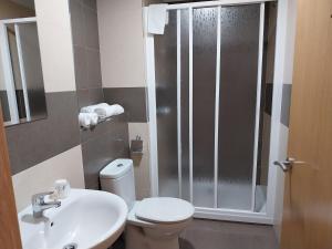 a bathroom with a shower and a toilet and a sink at Pension Begoña in Arzúa