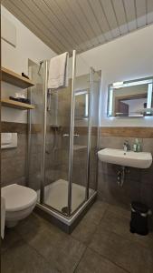 a bathroom with a shower and a toilet and a sink at Endorfer Stubn in Bad Endorf